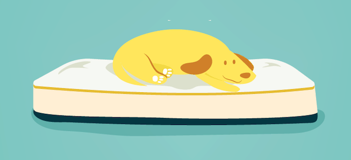 koiran sängyn patjat