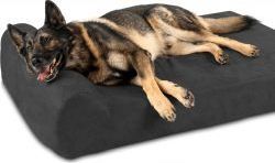 Le lit pour chien de qualité supérieure Big Barker