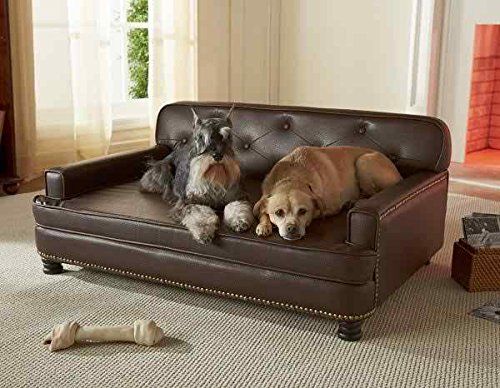 7 bedste hunde sovesofaer: Klassisk hundekomfort på en sofa!
