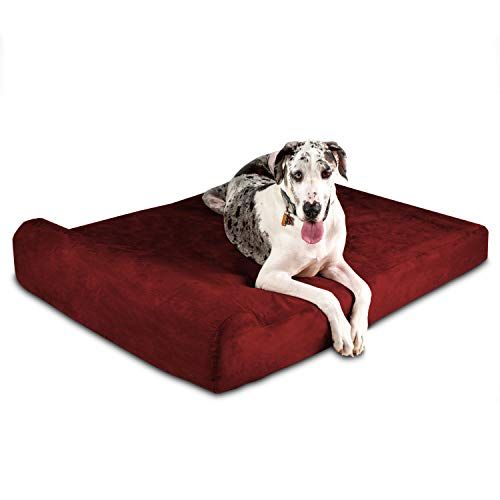 Najlepšie postele pre psov pre dyspláziu bedrového kĺbu: Bezpečnosť kĺbov