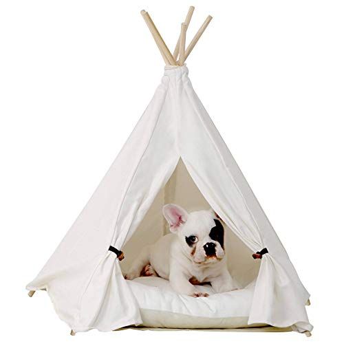 Little Teve Pet Teepee Dog (Puppy) & Cat Bed - Khemah & Rumah Haiwan Peliharaan Portable untuk Anjing (Puppy) & Cat Beige Colour 24 Inch no Cushion