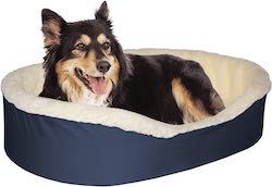 Hundebett USA Haustierbett mit Kingsize-Bett