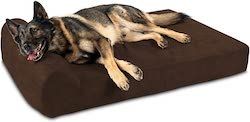 미국에서 만든 최고의 개 침대: 집에서 만든 행아웃!
