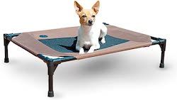 6 parimat kõrgendatud koera voodit: pange oma kutsikas pjedestaalile!