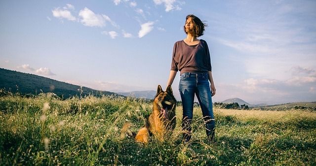 Miksi koirat pitävät hyväilystä?