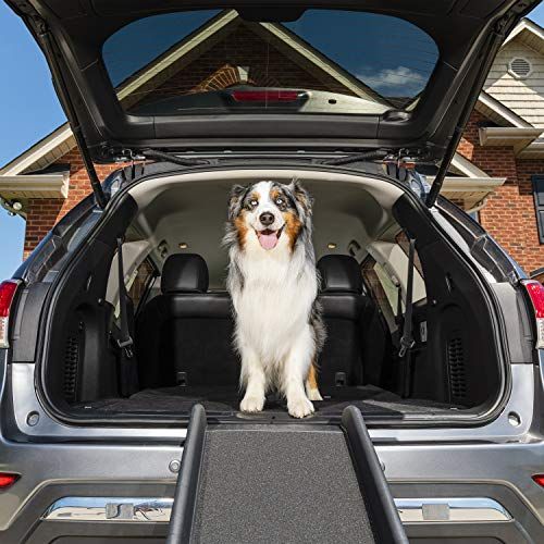 „PetSafe Happy Ride“ sulankstomas naminių gyvūnėlių rampas, 62 colių, nešiojamas lengvas šunų ir kačių rampas, puikiai tinka automobiliams, sunkvežimiams ir visureigiams - šoniniai bėgeliai ir didelis traukos paviršius