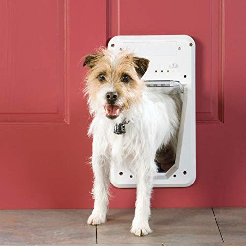 PetSafe Electronic SmartDoor - Porte pour chien et chat activée par collier - Petits à grands animaux de compagnie