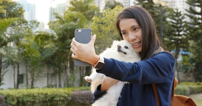 selfies är roliga med hundar