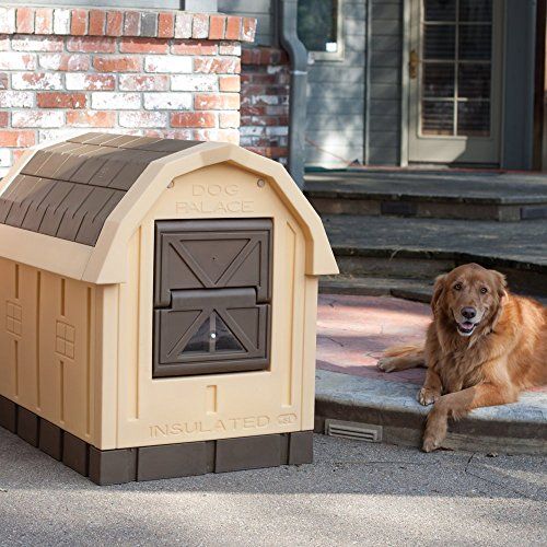 ASL Solutions Deluxe Insulated Dog Palace مع سخان أرضي (38.5.1)