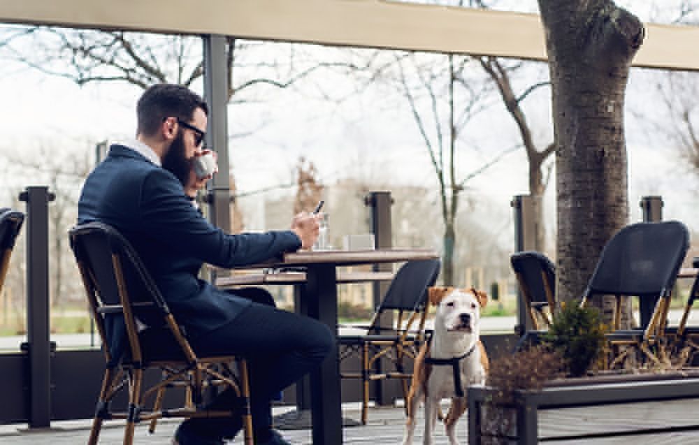 15 chaînes de restaurants acceptant les chiens
