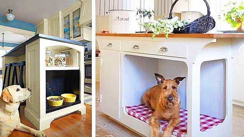 Nutzung von Stauraum für Haustiere in Tiny Houses