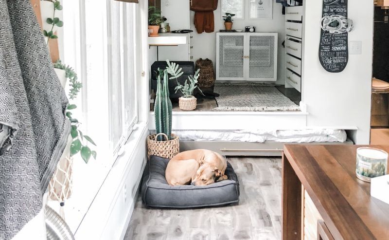 Stellen Sie sicher, dass Ihr Hund seinen eigenen Platz im Tiny House hat