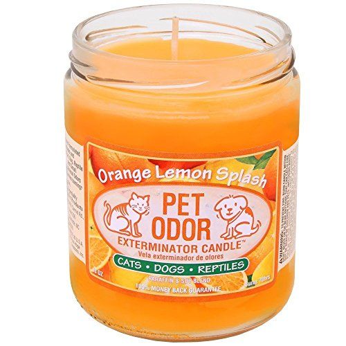 Świeca eliminująca zapachy zwierząt domowych, pomarańczowa bryzgająca cytryna, 13 uncji