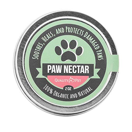 Paw Nectar Dog Paw Balm은 개 발을 치료합니다.