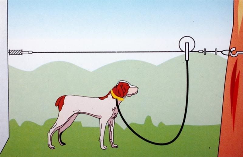 Hundeanbindung oder Trolley