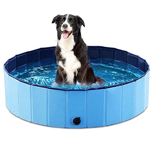 Сгъваем басейн за кучета за домашни любимци Jasonwell Сгъваем басейн за кучета за кучета Kiddie басейн за кучета Котки и деца (39,5 инча D x 11,8 инча H, син)