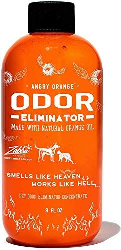 Angry Orange Pet Odour Eliminator for hund og katteurin, laver 1 gallon opløsning til tæpper, møbler og gulvpletter