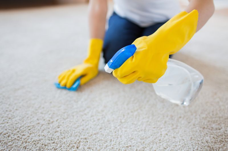 видове почистващи средства за килими