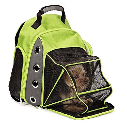 Sac de transport pour animaux de compagnie Casual Canine Ultimate avec tente en filet en option pour le transport d