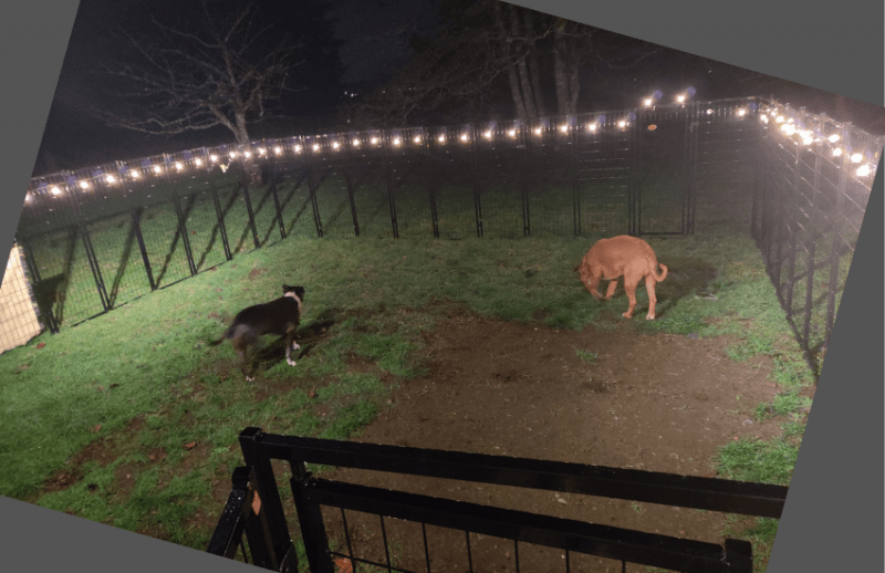 hàng rào ban đêm