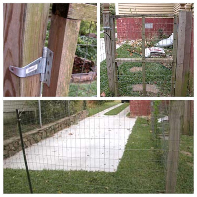 Siatkowe ogrodzenie dla psa
