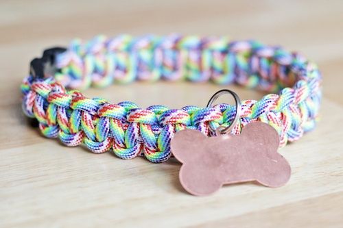 Regenbogen-Paracord-Hundehalsband