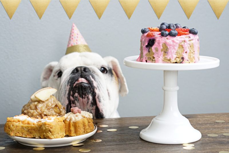 recepty na koláče pre psov