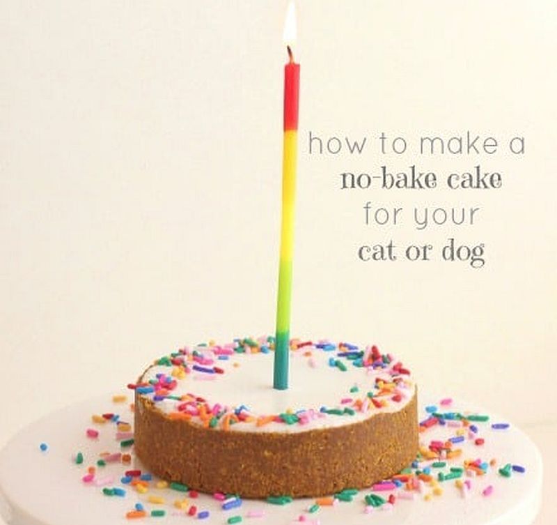 torta brez pečenja za pse