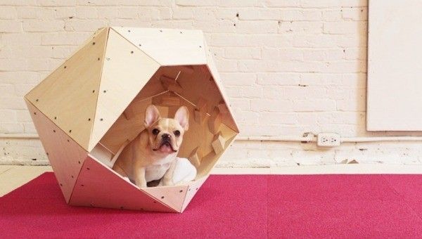 صندوق الكلب DIY 3