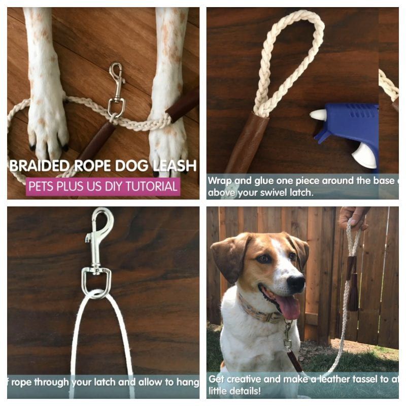 DIY koera jalutusrihmad: kohandatud koerte pistikud