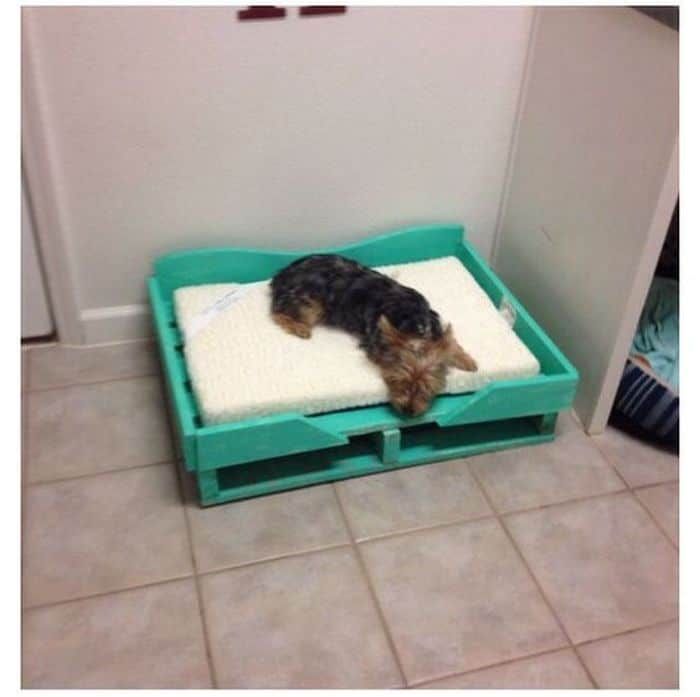 Кровать для собак из поддонов 3