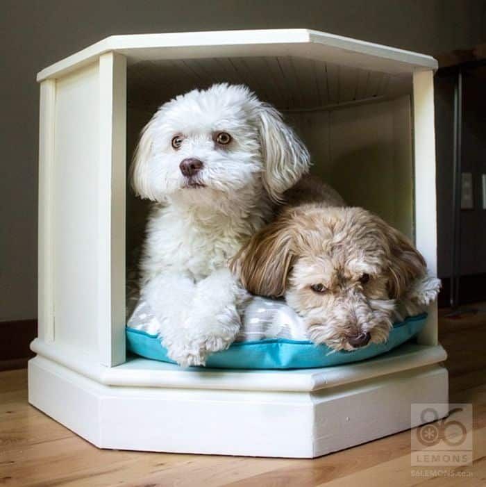 Table de bout lit pour chien