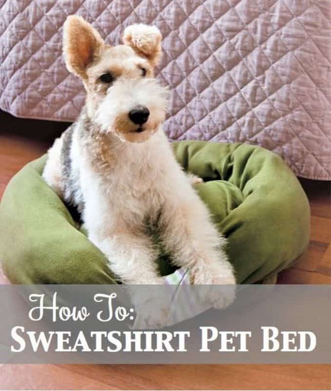 سویٹر DIY کتے کا بستر۔