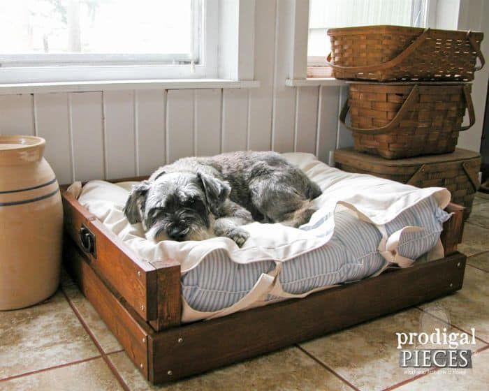 DIY لکڑی کے کتے کا بستر۔