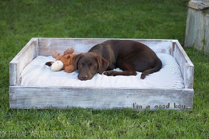 DIY -koiran sänky puusta