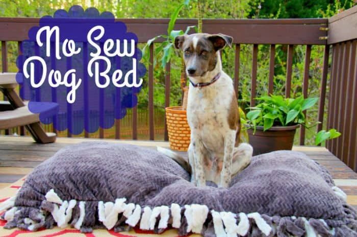 DIY No Sew Dog Bed