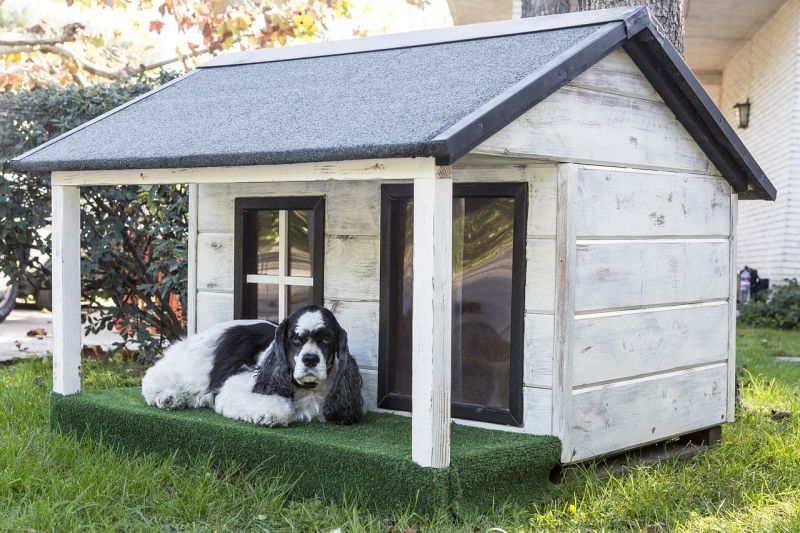 کتے کے گھر DIY