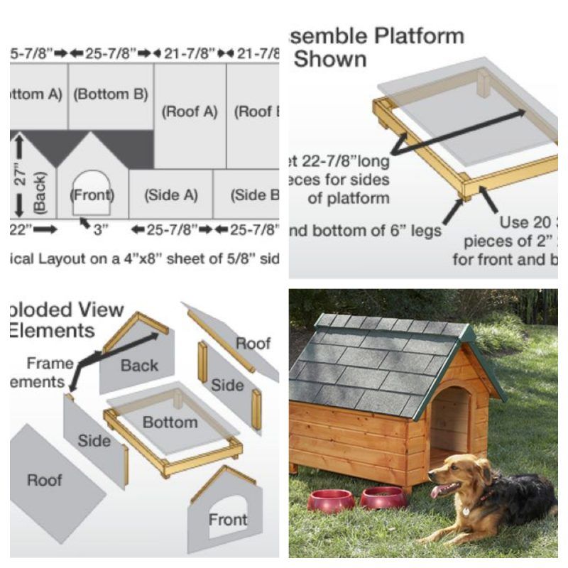 14 niches pour chiens de bricolage (plans + plans): Comment construire une niche pour chiens!