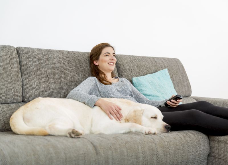 Regarder Dog TV avec votre animal de compagnie