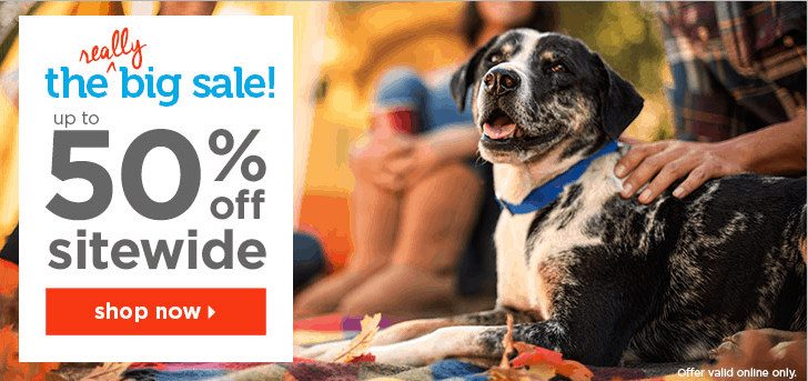 Petco 50% Off Off Sale NGAYON! Bilhin ang Iyong Doggie Halloween Costume!