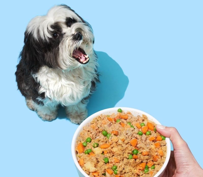 nourriture pour chien sur commande