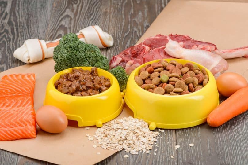 Verschiedene Hundefutter und Rohstoffe auf Holztisch. Nährstoffreiche Mahlzeiten aus Fisch, Gemüse, Fleisch, Ei und Müsli. Lecker und gesund.