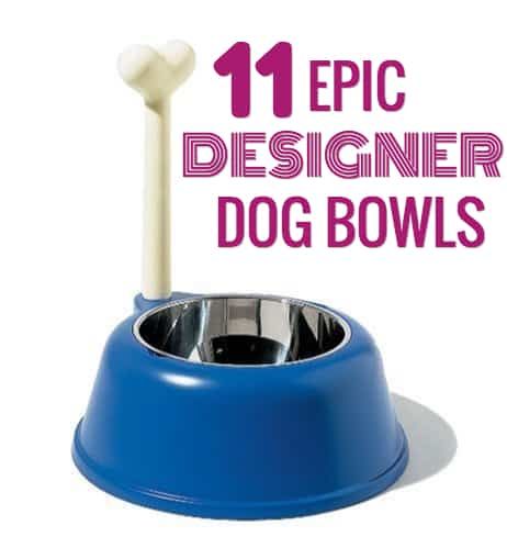 11 designer hunde skåle