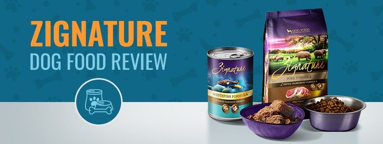 Zignature Dog Food Review, Recalls & Ingredients Analysis i 2021