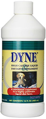 Dyne 강아지용 고칼로리 액체 식이 보조제, 16온스
