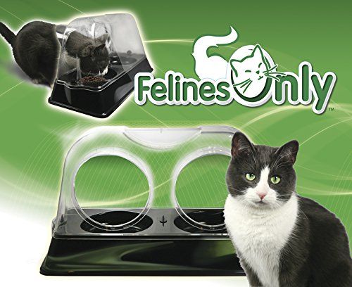 Kun felter - Purrrfect Cat Dish - Dyrlæge designet kattefoderskål, der holder hunde ude af kattemaden