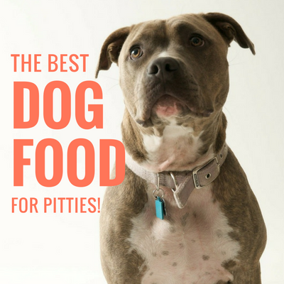 Bästa hundmat för Pit Bulls + Pittie Nutrition 101