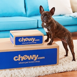 chewy-dog-sq