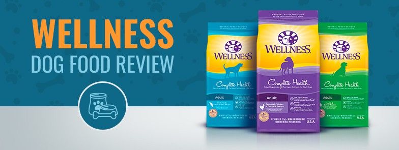 Wellness Dog Food Review, Recalls & Ingredients Analysis vuonna 2021