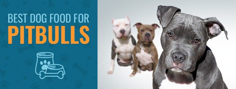 5 geriausias šunų maistas Pitbulls šunims 2021 m